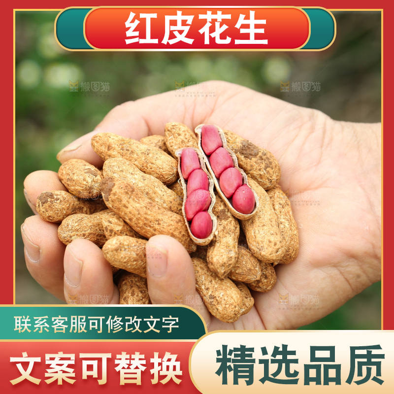 红皮花生
