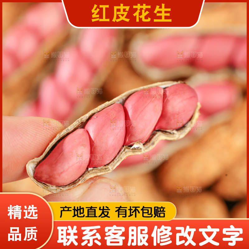 红皮花生