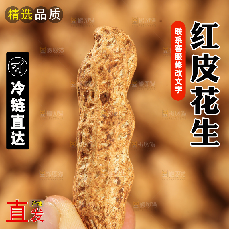 红皮花生