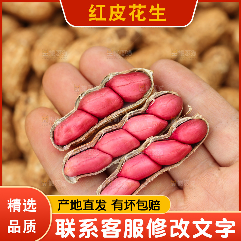 红皮花生