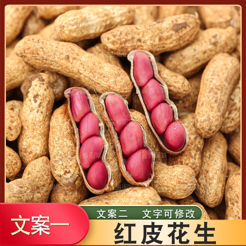 红皮花生