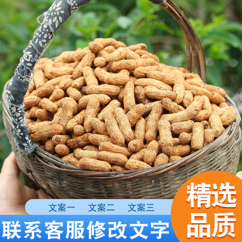 红皮花生
