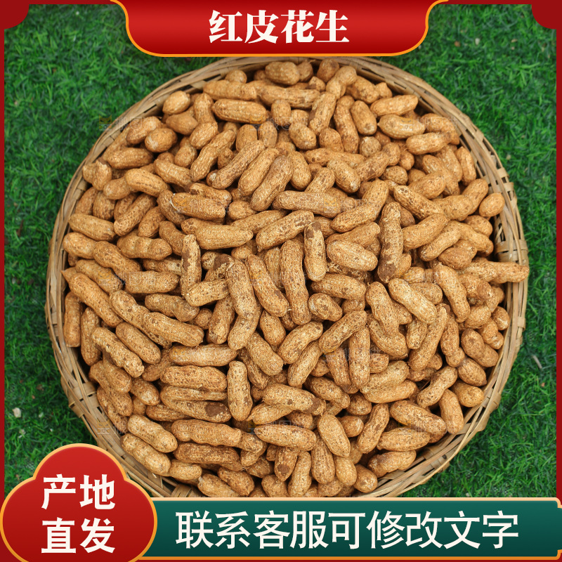 红皮花生