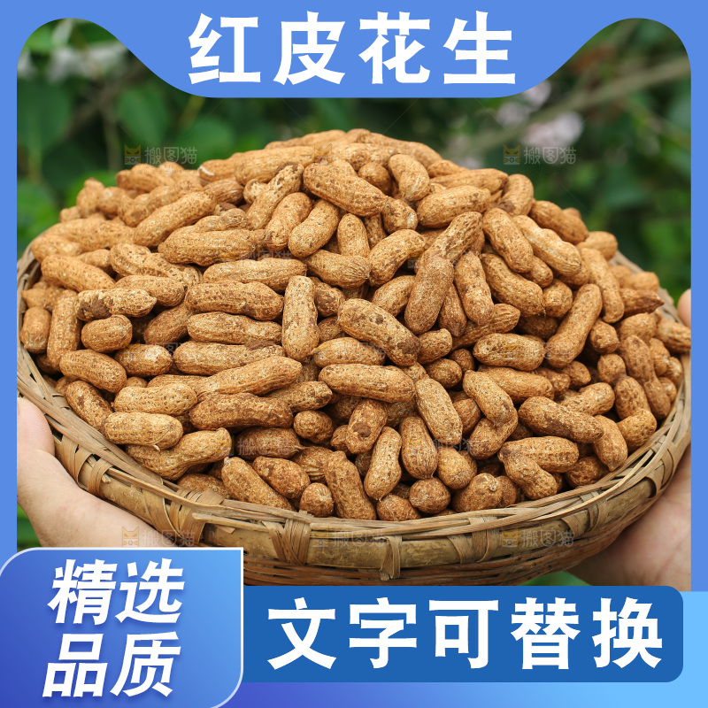 红皮花生