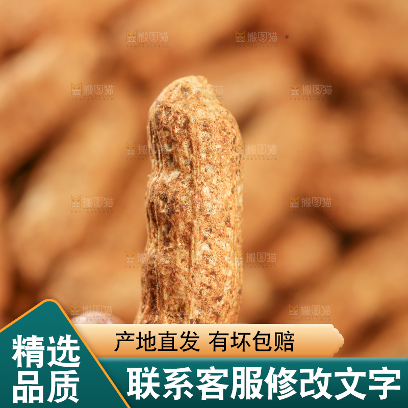红皮花生