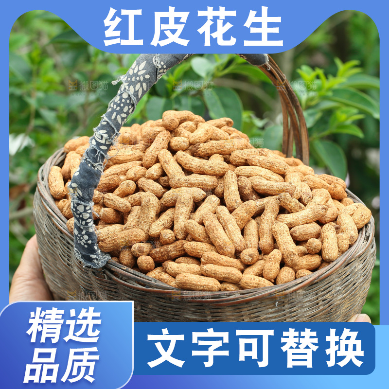 红皮花生