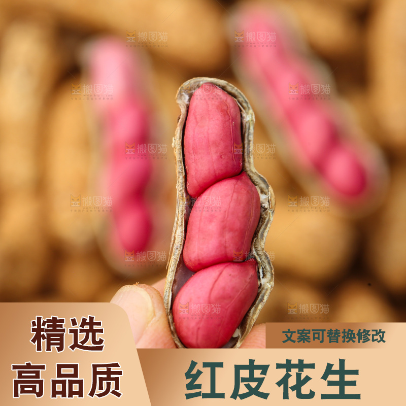 红皮花生