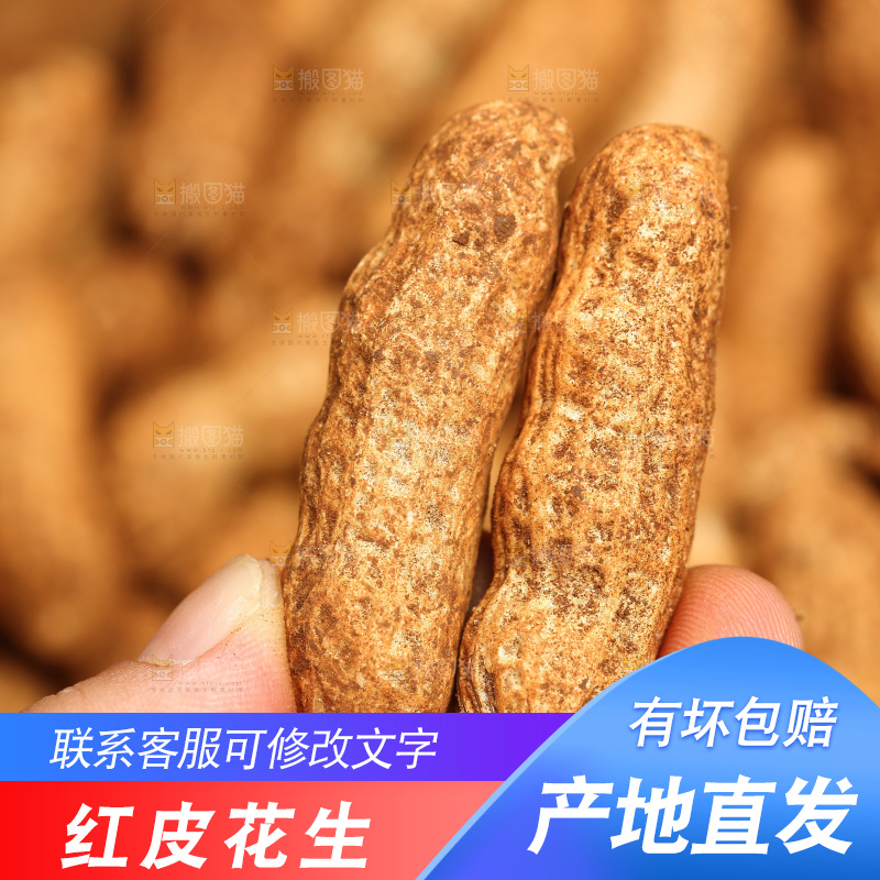 红皮花生