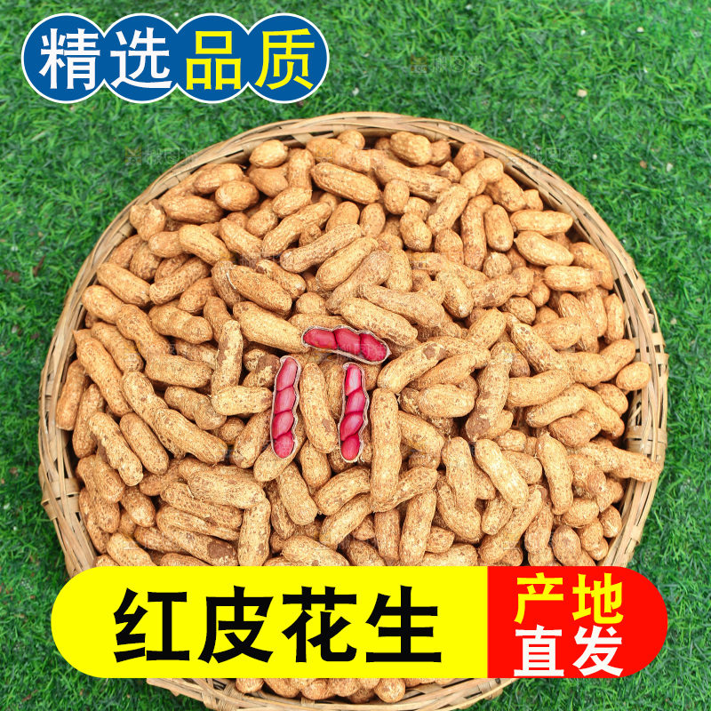 红皮花生