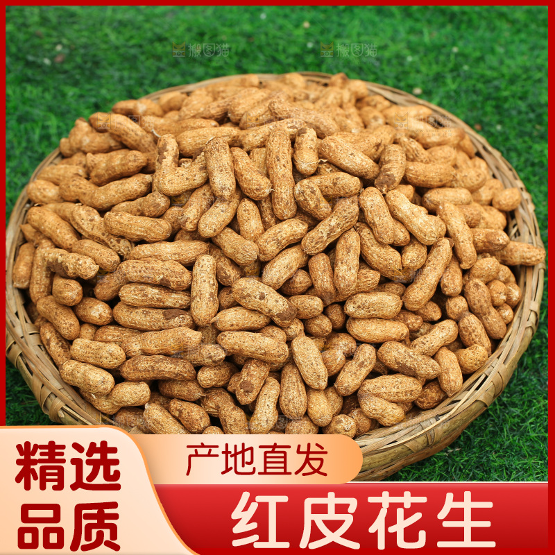 红皮花生