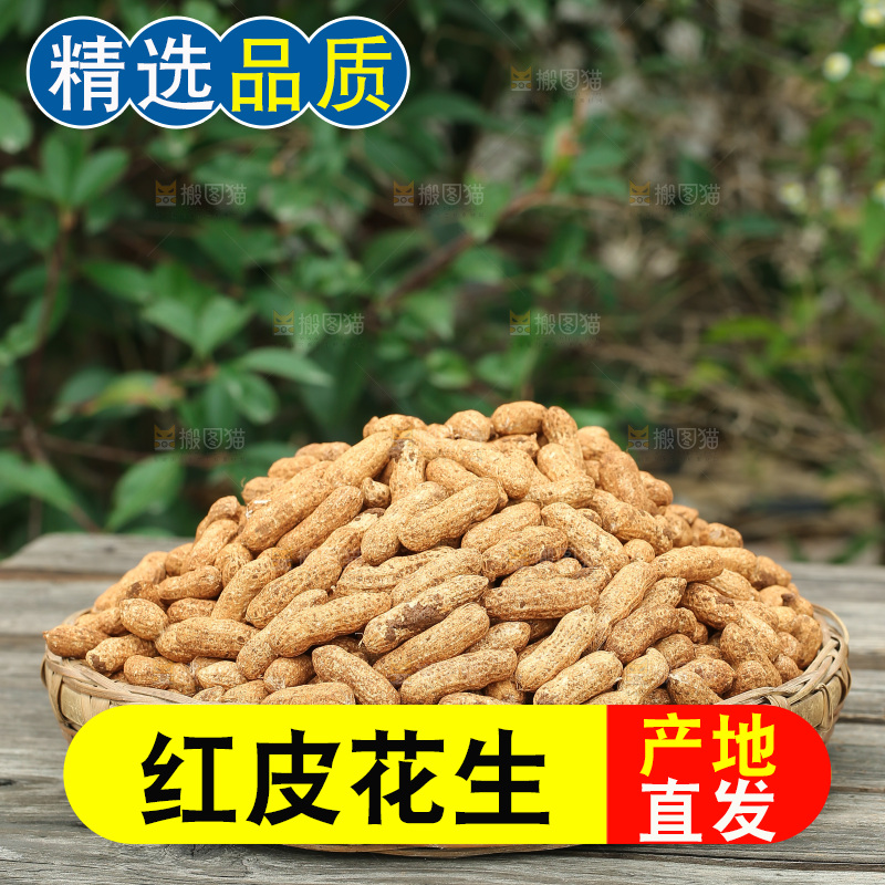 红皮花生