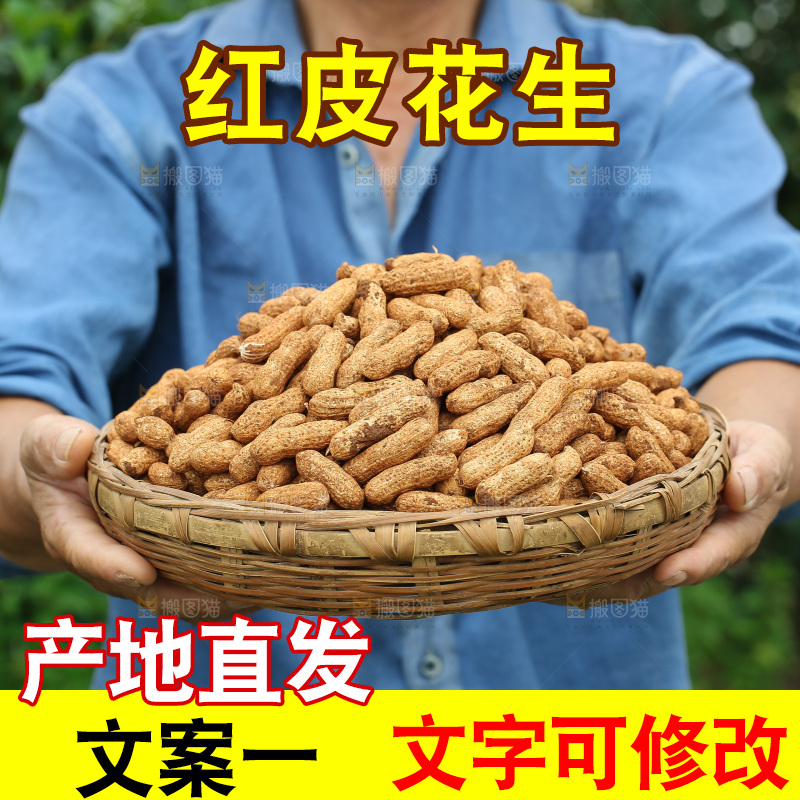 红皮花生
