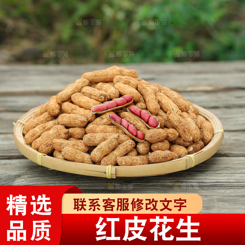 红皮花生