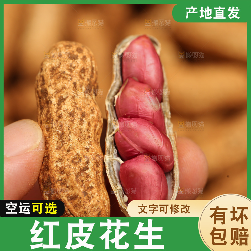 红皮花生
