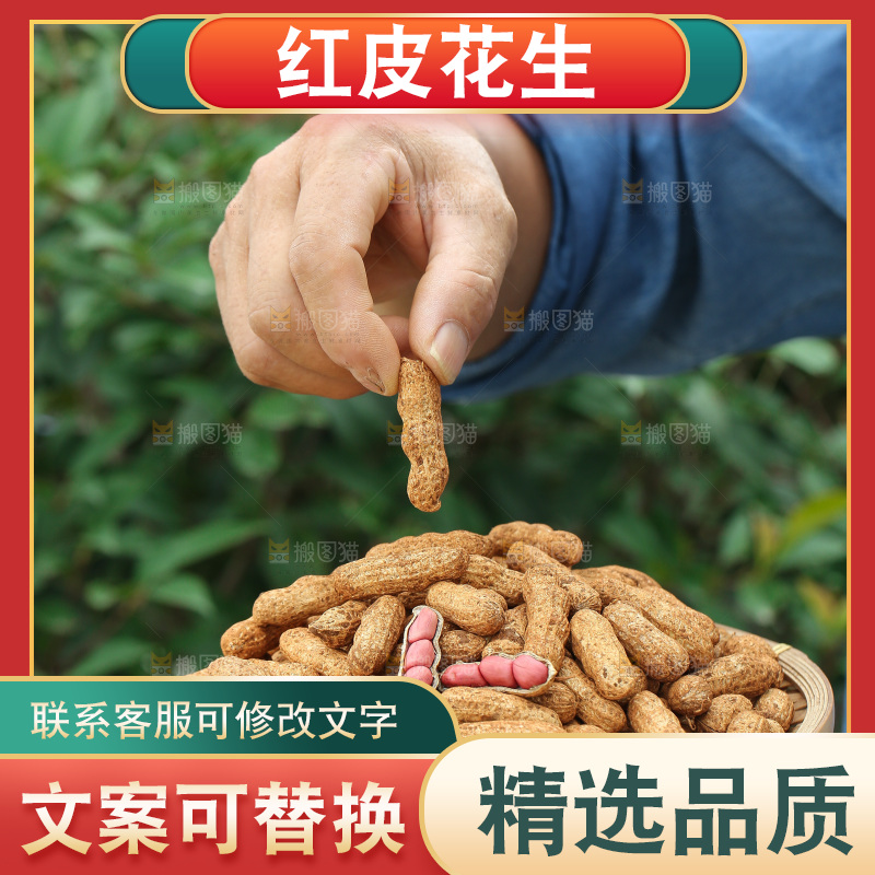 红皮花生