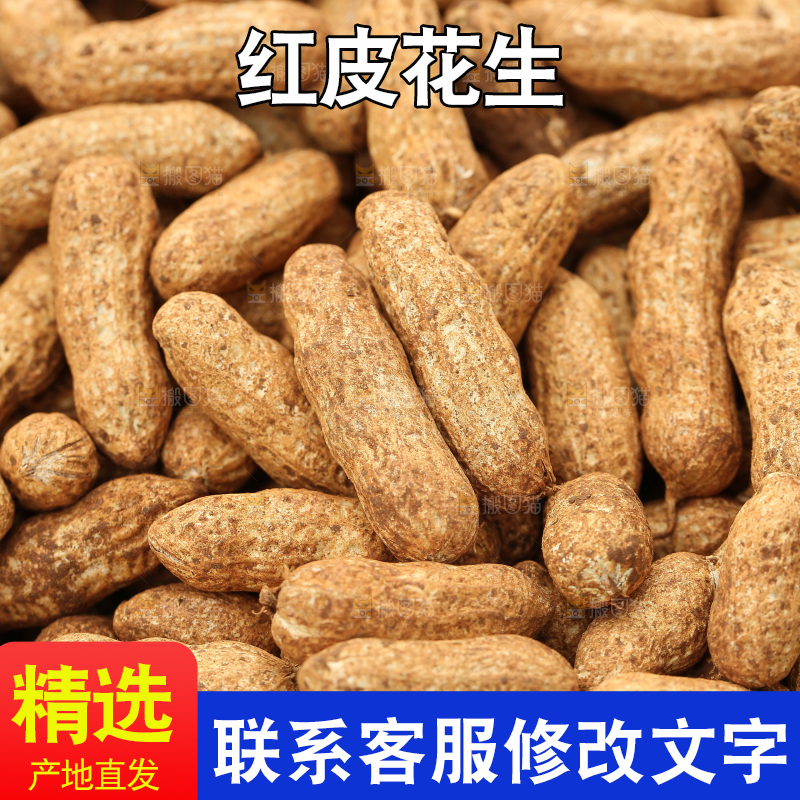 红皮花生