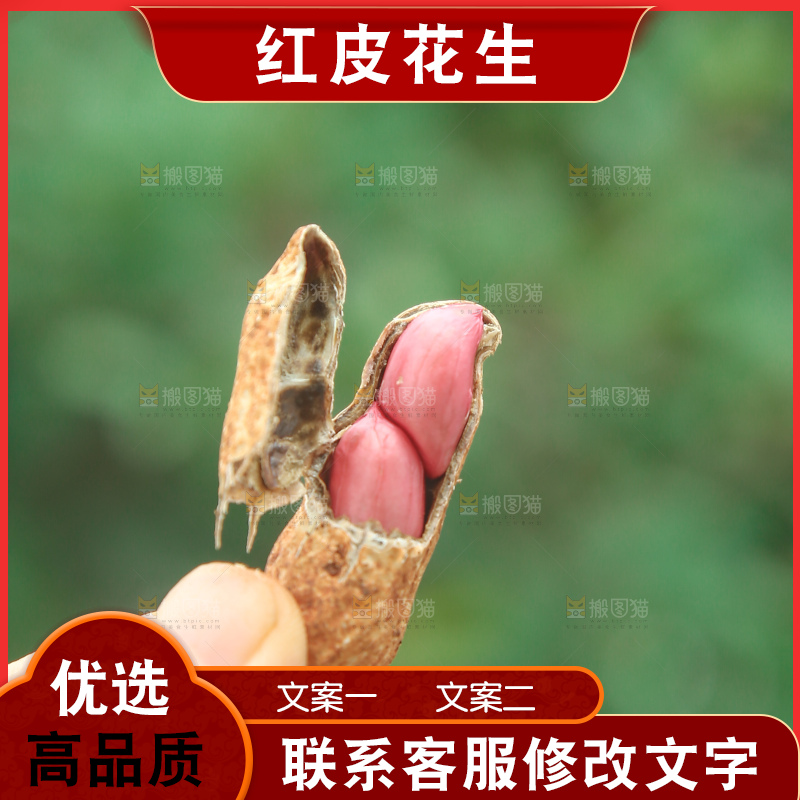 红皮花生