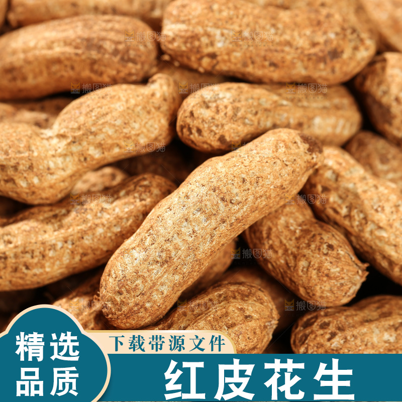 红皮花生