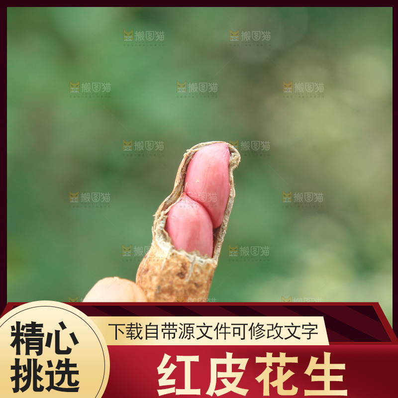 红皮花生