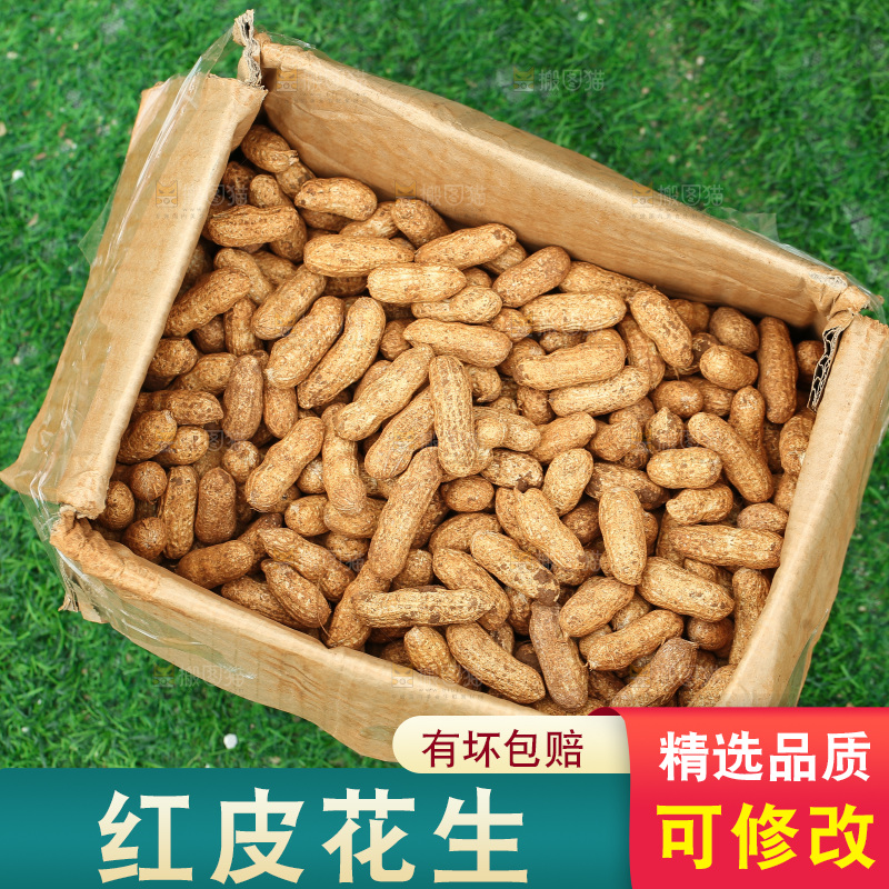 红皮花生