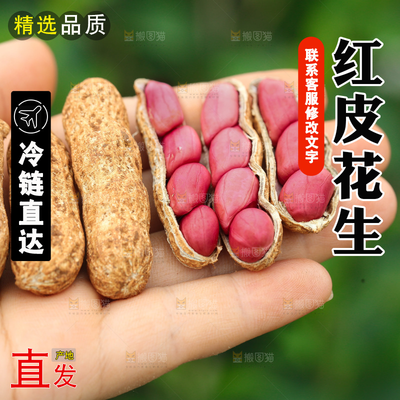 红皮花生
