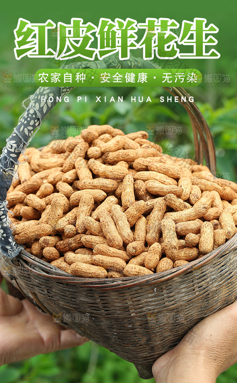 红皮花生详情页