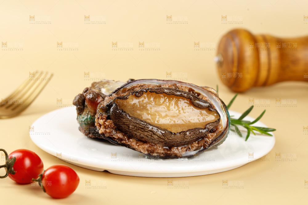 鲍鱼