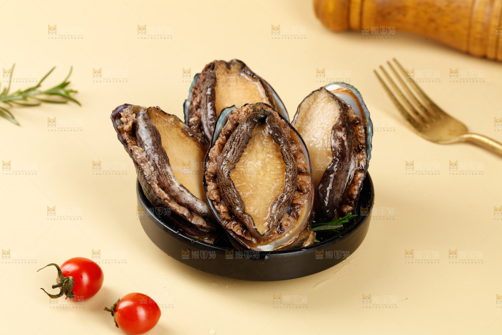 鲍鱼