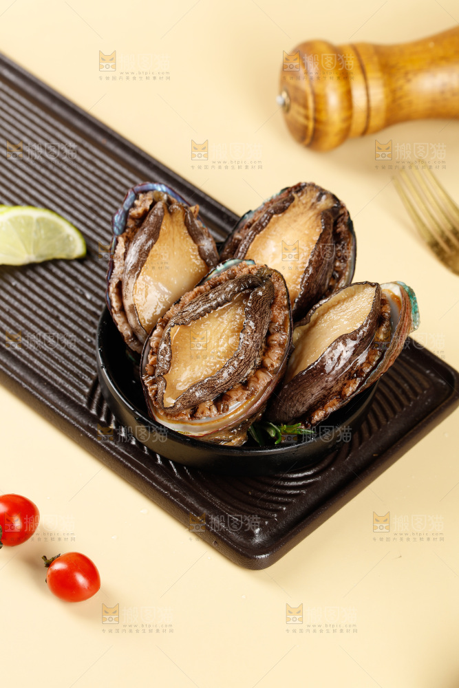 鲍鱼
