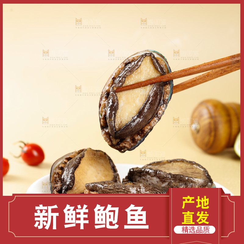 鲍鱼