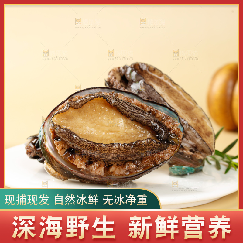 鲍鱼