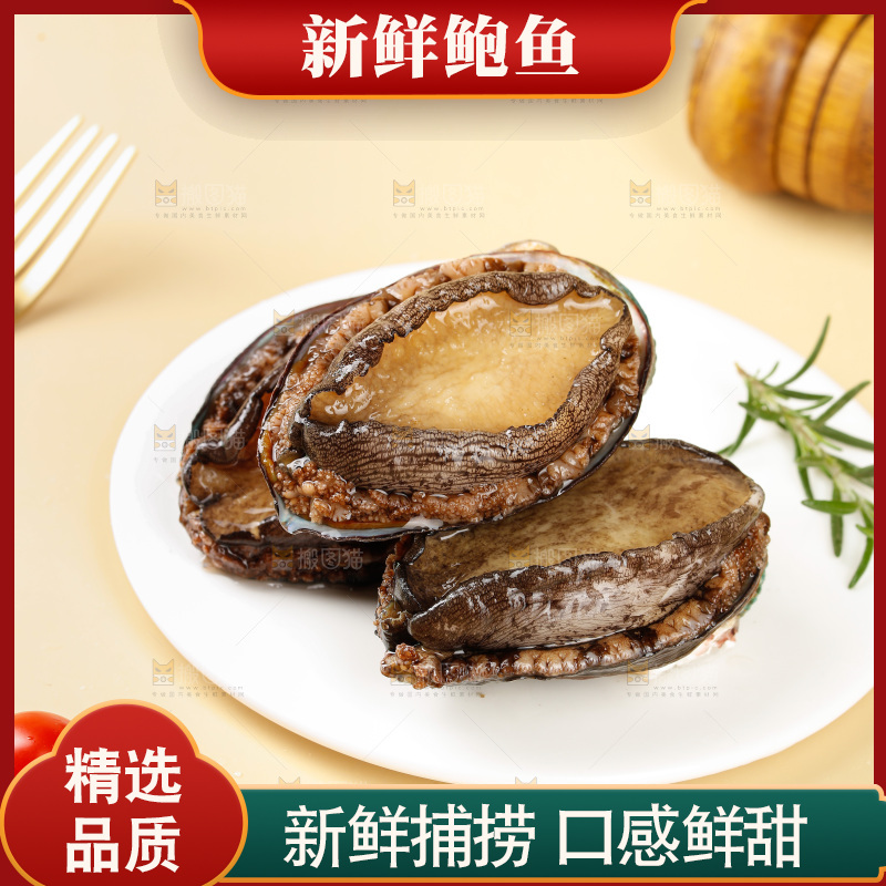 鲍鱼
