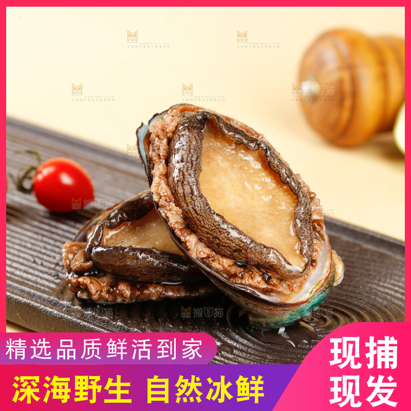 鲍鱼