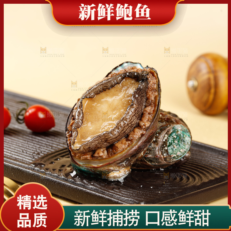 鲍鱼