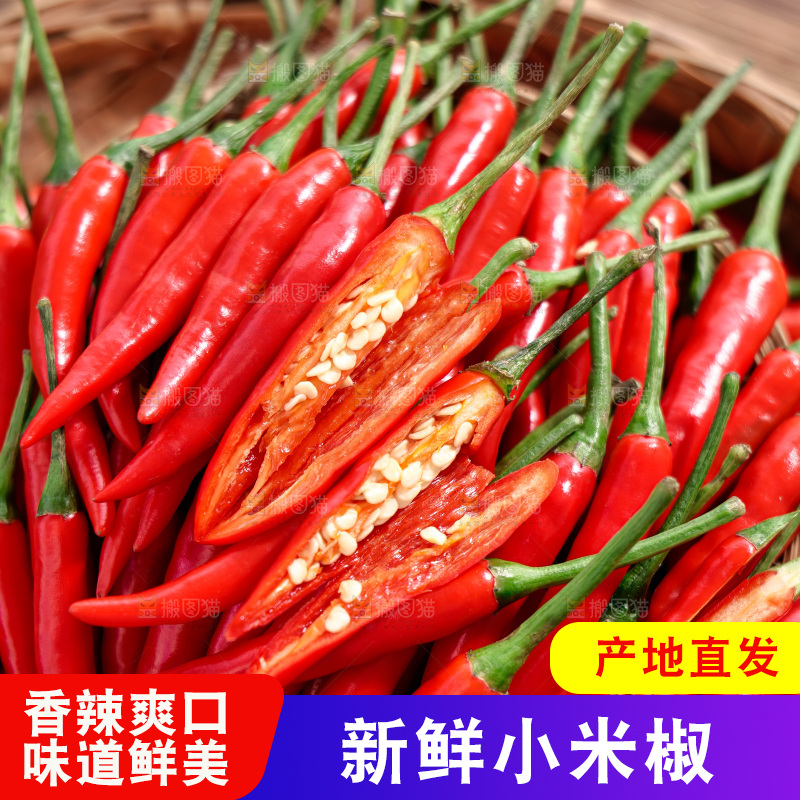 小米椒