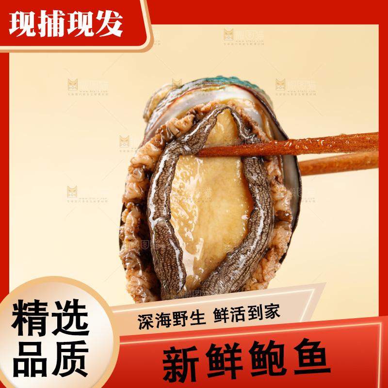 鲍鱼