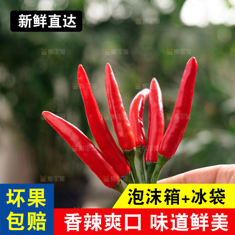 小米椒