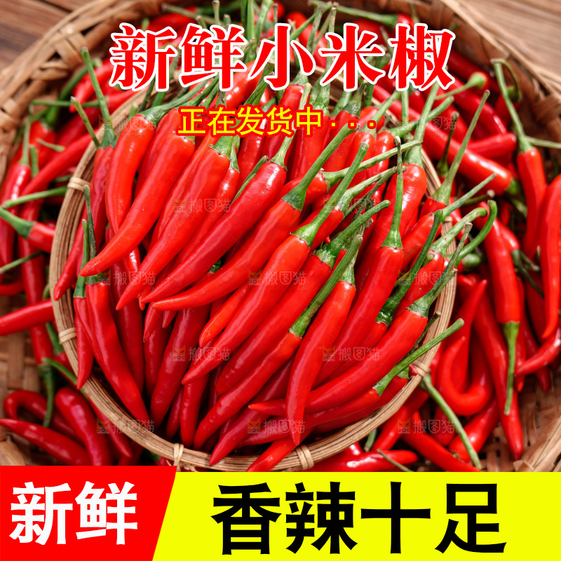 小米椒