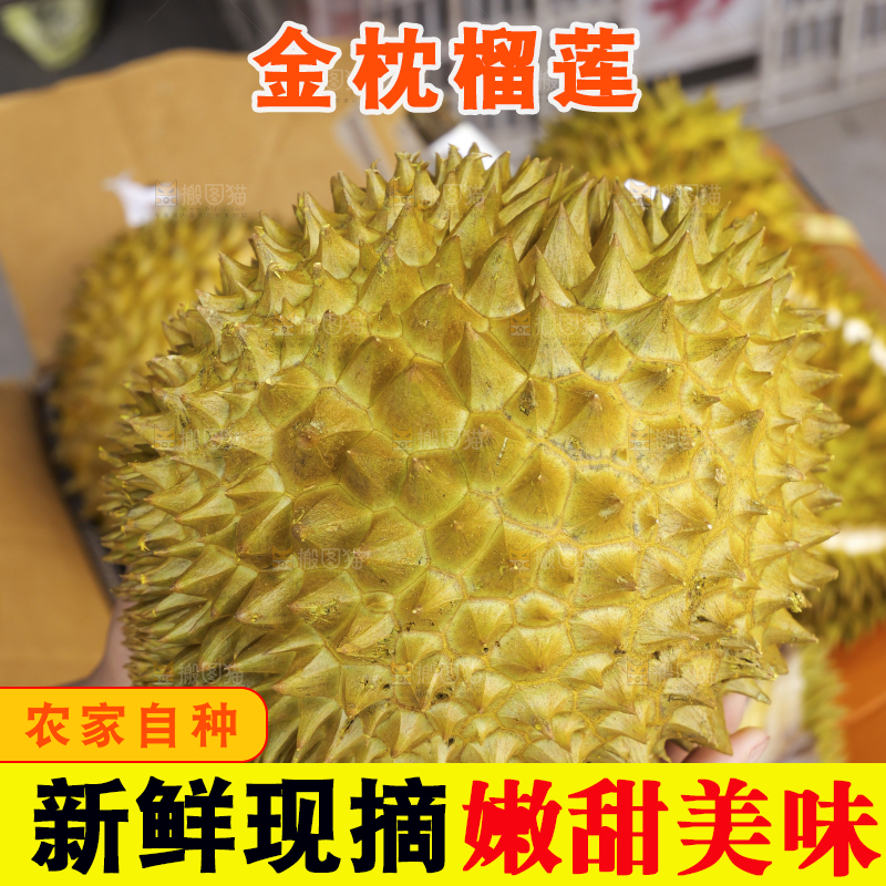 金枕榴莲