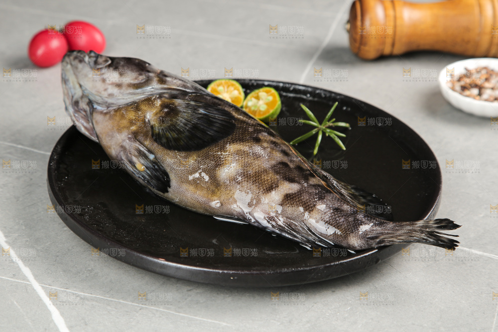 石斑鱼