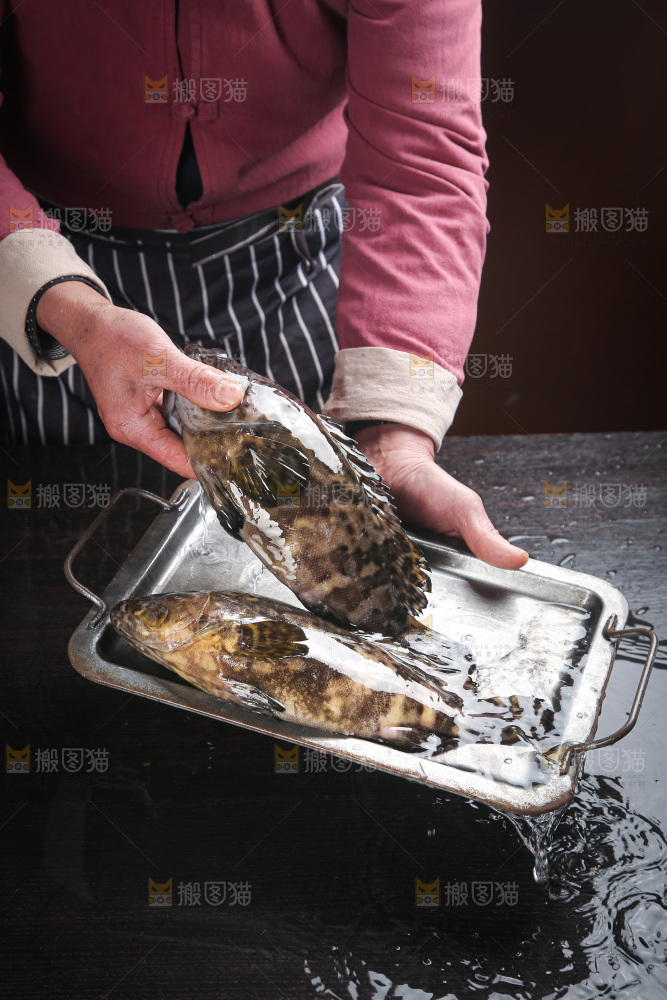 石斑鱼