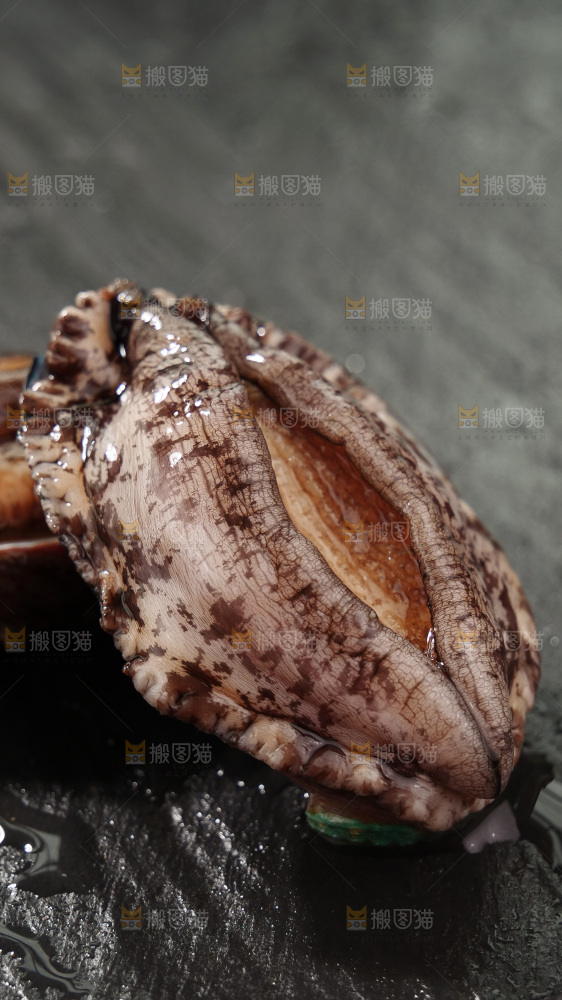 鲍鱼