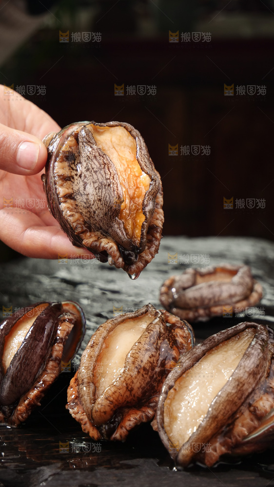 鲍鱼