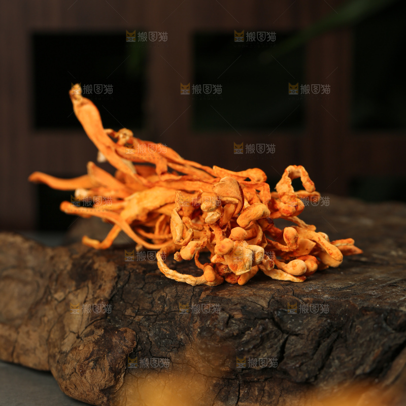 深底上的虫草花