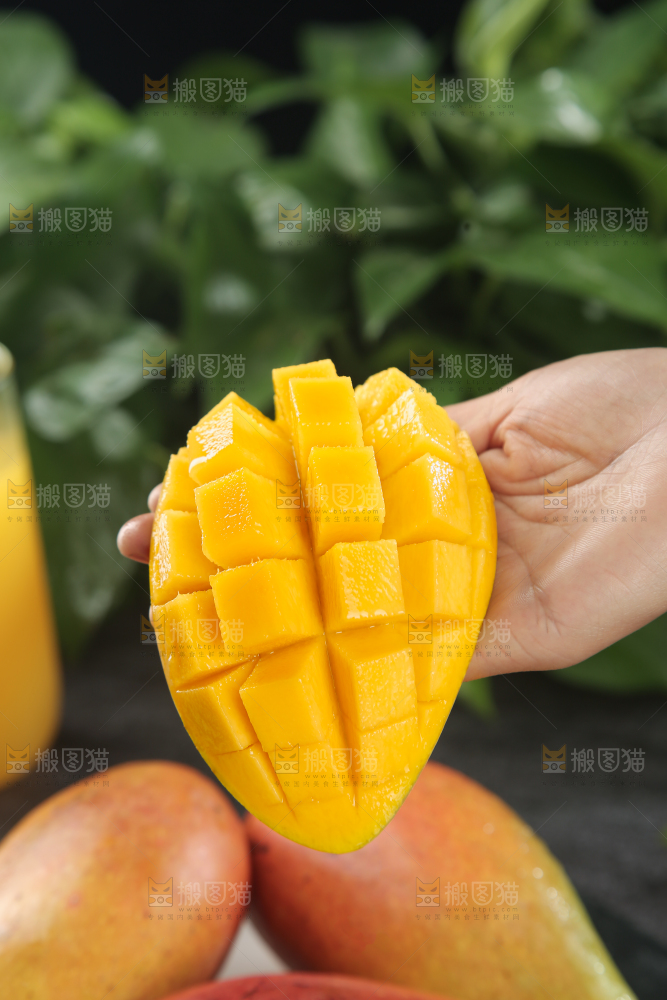 贵妃芒
