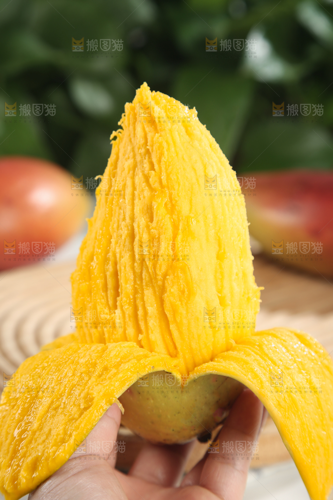 贵妃芒