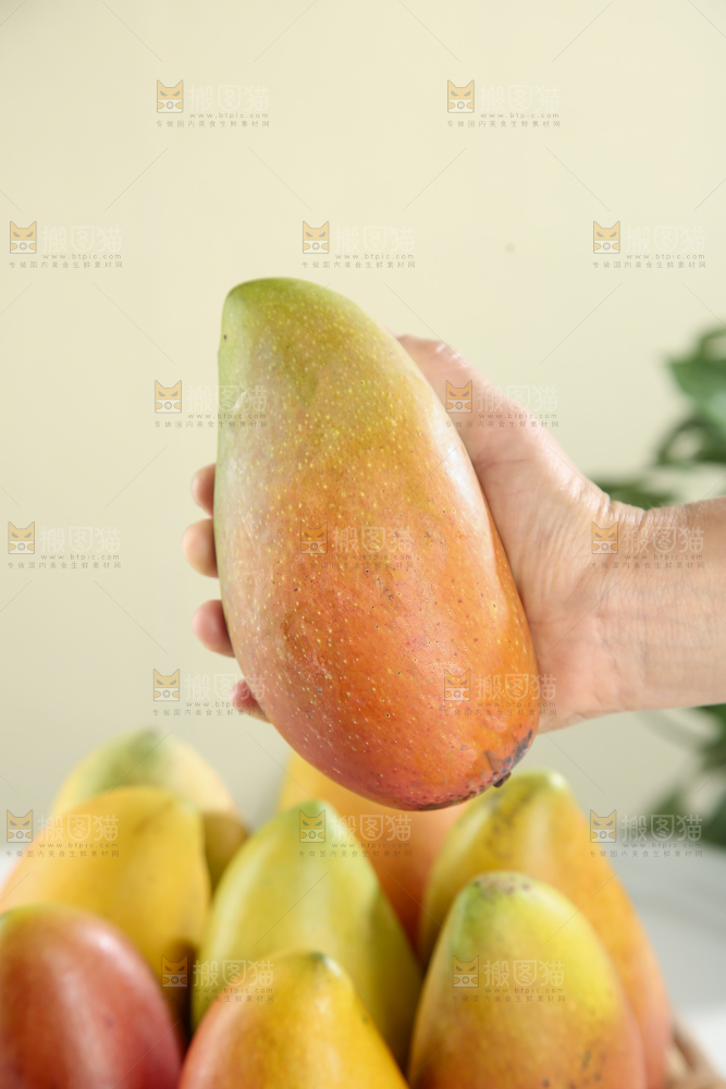 贵妃芒