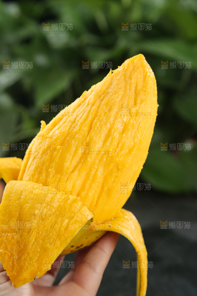 贵妃芒