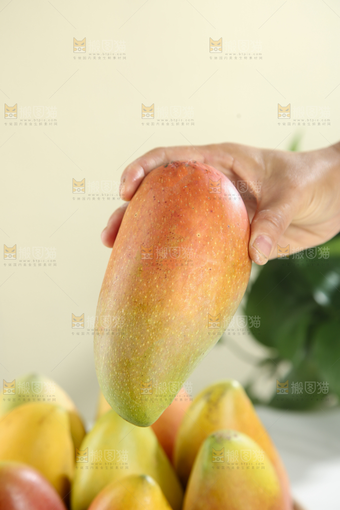 贵妃芒