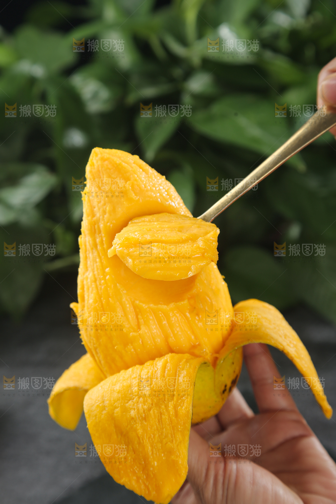 贵妃芒